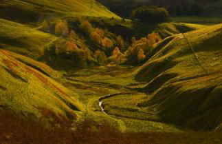 Stable Cottage at Yearle House - Photo 21