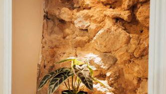 Ancien Cloître rénové - Hyper centre - T2 de 50m2 - Foto 5