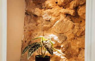 Ancien Cloître rénové - Hyper centre - T2 de 50m2 - Foto 5