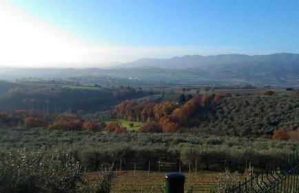 Agriturismo La Rosa Montefalco - Foto 14