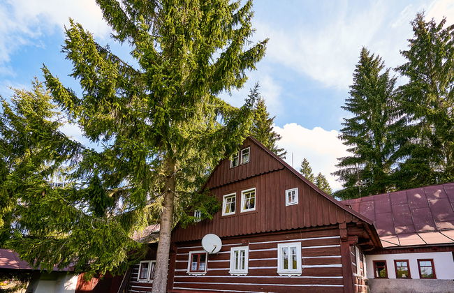 Mountain Serenity & Sauna - Foto 29