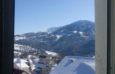 Ginî Viñis - Foto 36