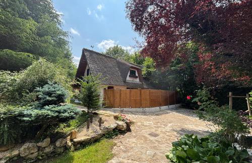 La Chaumière Luxury Domain with 2 Apartments Spa and Pool near Disneyland - Foto 3