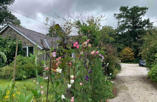 Cozy Cottage - Near Brew Pub / Snowdonia National Park. - Foto 8