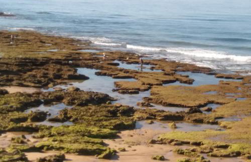 Encosta S. José -Vale Parra - Foto 20