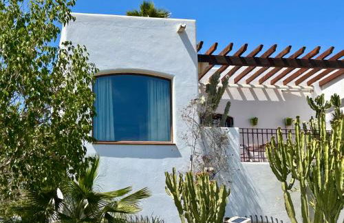 La Washingtonia - Foto 75