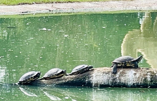 Villa Ostseekind Comfortable Holiday Residence - Photo 23