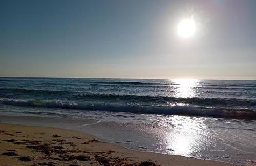 A PINTEGA DAS DUNAS - Foto 44