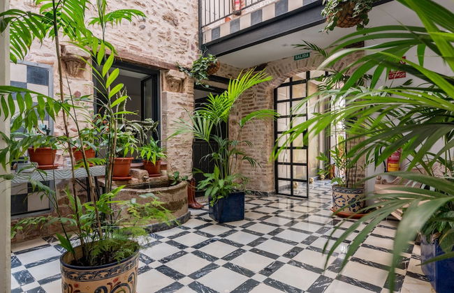 Dreams of Marbella - Foto 23