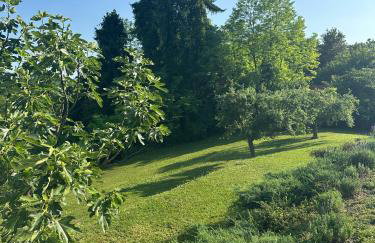 Apartman Perla - Foto 36