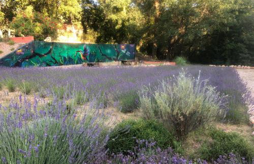 Les Mazets de la Cascade - Foto 16