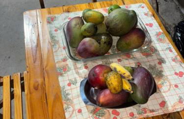 Rancho do Guila Pesca & Diversão Corumbá 3 - Foto 19