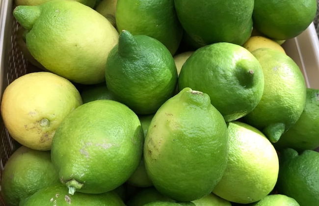 Cirali Zambak Villa - Foto 17