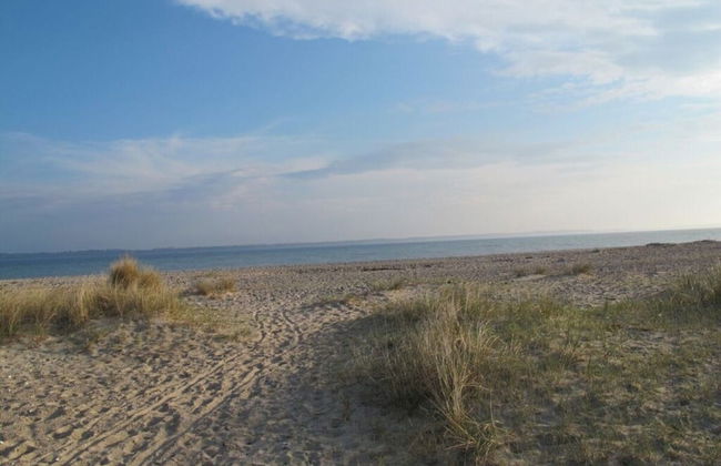 Liefde Voor de Schlei - Photo 21