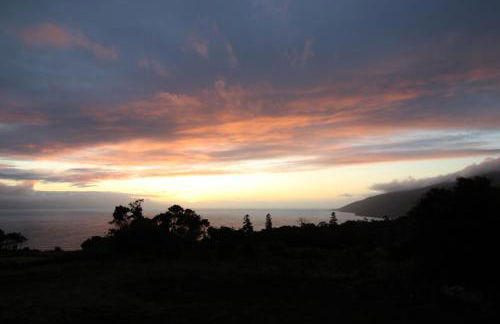 Fish House 3 - Photo 36