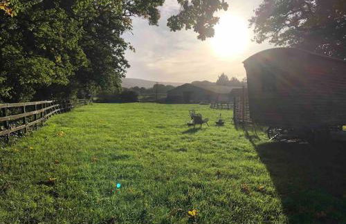 Aspen Leaves: The perfect farm retreat - Foto 20