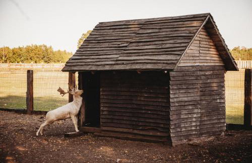 Apartament z wanną wolnostojącą - Foto 24