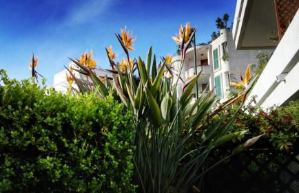MONOCAMERA con TERRAZZOgiardino -STUDETTE -zona Panoramica POSILLIPO - Photo 16