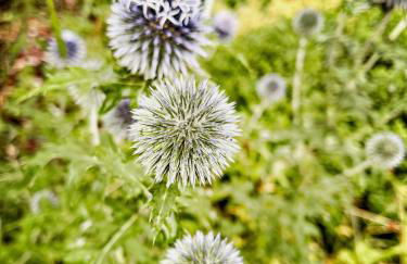 Lovingly Restored Half-Timbered House From 1684 - Foto 33