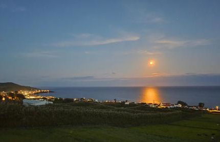 Cantinho do alto - Photo 12