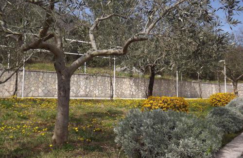 Apartments in Ravni - Istrien 30383 - Foto 6