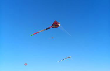 Lovely house tra pineta e mare - Foto 34