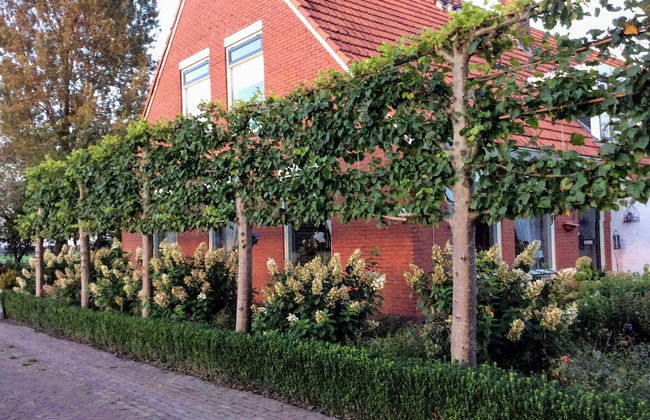 Holiday Home in Donkerbroek Near Forest Trails - Foto 31