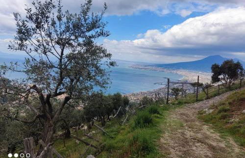 Residenza Regina Margherita, Apud Montes - Foto 11