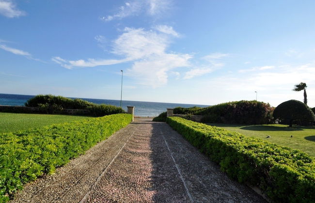 Trullo Venneri - Foto 20
