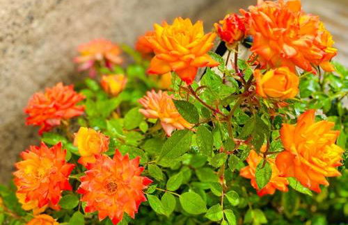 Hotel Privado Serendipia Natural Club Exclusive by Deihu Experiences - Foto 57