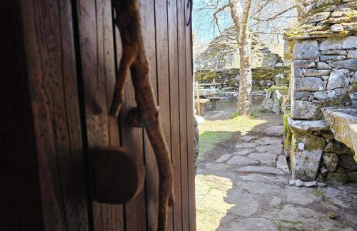 Cardenha das Formiguinhas - Foto 41