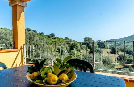 Appartamenti Dodi LT - PMS CaseVacanze - Foto 14