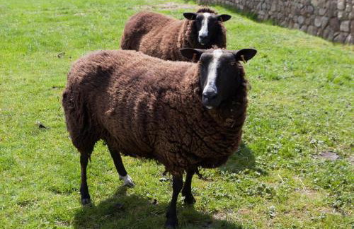 1 Bed in Thornton Watlass oc-g0089 - Foto 20