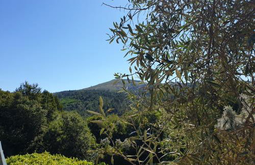 Quinta da Vinha Velha - Foto 3