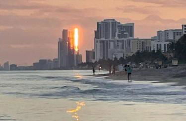 3-BR space in charming Hollywood - Foto 5