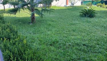 Artemis Villa - Foto 3