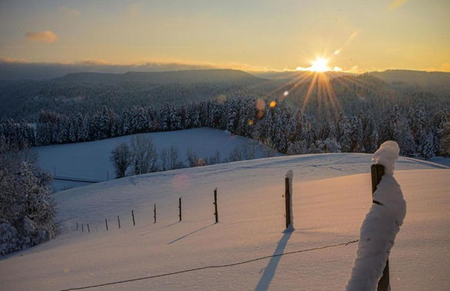 Ferienwohnung in Schiltach - Foto 27