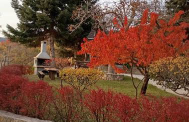 Ξενώνας Το Πατρικό - Foto 39