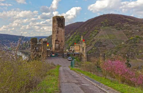 Ferienwohnung Wagner 4 Sterne - Photo 36