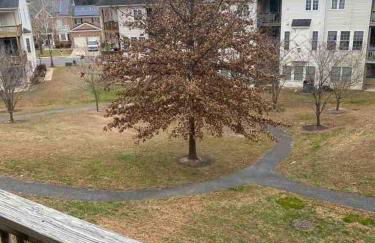 Maple Lawn Gem -sunny townhouse 3 bedrooms - Foto 4