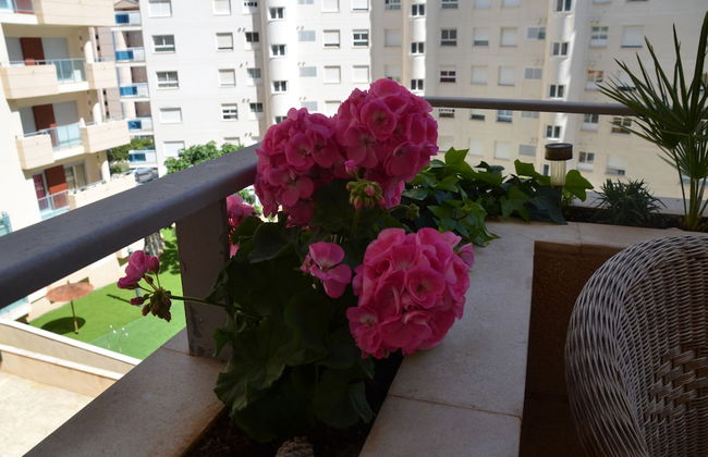 Apartamento Wildhoney - Foto 11