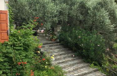 Olive Grove House - Foto 39