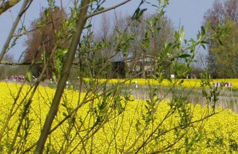 Op-England-I-mit-Terrasse-grossem-Garten - Foto 17