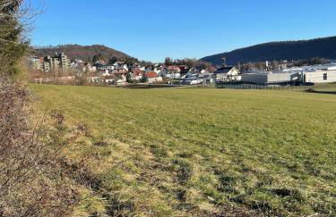 Hohenzollern Wellness Loft mit Panorama Sauna - Foto 18