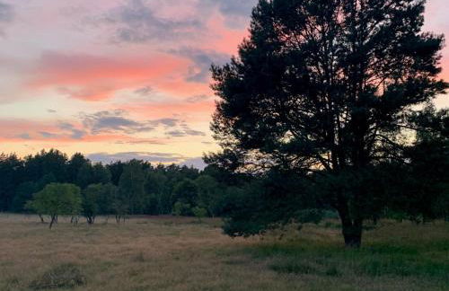 Forsthaus Zartwitzer Hütte - Foto 39