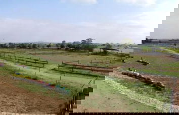 Zoopark Zelčín - Foto 46