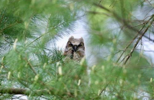 Cozy Creek House - Foto 68