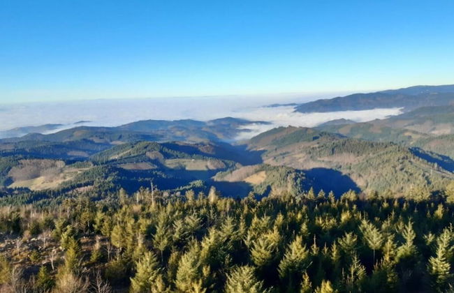 Nice Apartment in Oberkirch - Foto 10