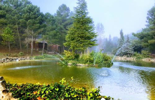 Chalet Esmeralda 3 d y 2 baños ZAFIRO LAGUNAZO Parque Natural Rio Mundo Riopar - Foto 7