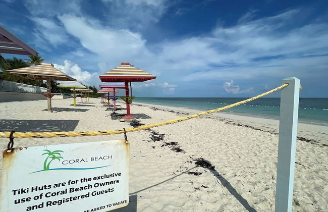 NEW Stunning Beachfront Condo at the Coral Beach - Foto 50